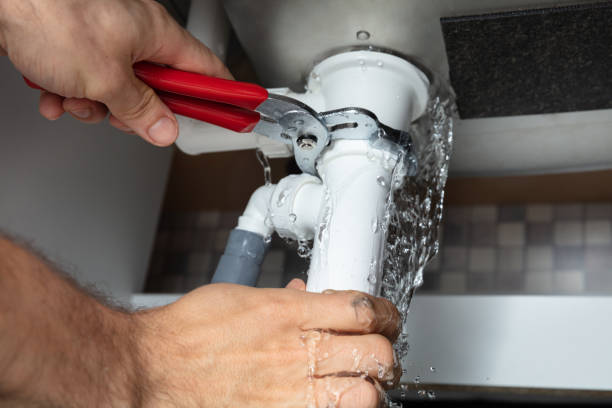 Best Sewage cleanup and water damage restoration  in Bath, MI