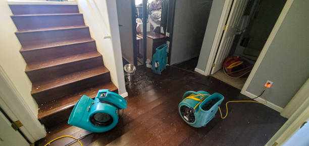 Best Water damage restoration near me  in Bath, MI