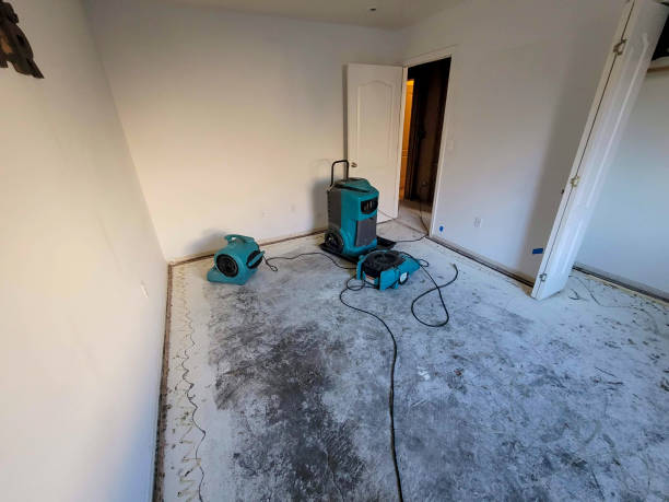  Bath, MI Water damage restoration Pros