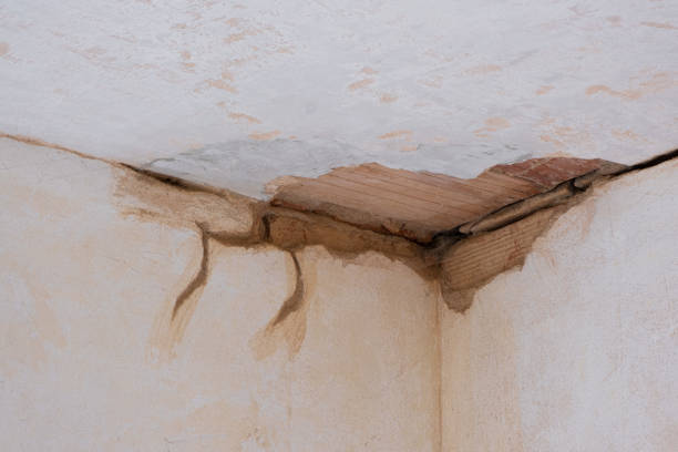 Best Water damage restoration near me  in Bath, MI