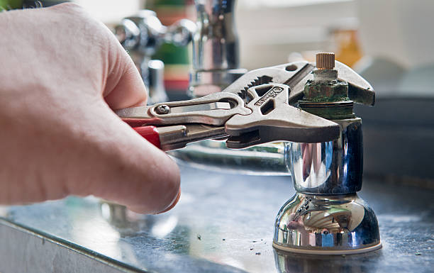 Best Carpet water damage restoration  in Bath, MI