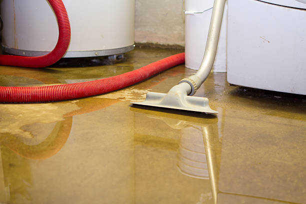 Best 24-hour water damage restoration  in Bath, MI