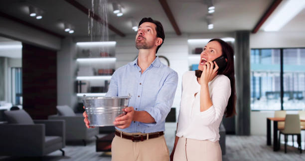Best Commercial water damage restoration  in Bath, MI